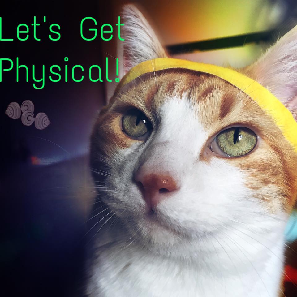 15826568_568184736713159_5054634663059737522_n