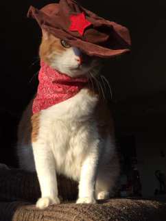 49601307_10161268977315223_1833555906990702592_n