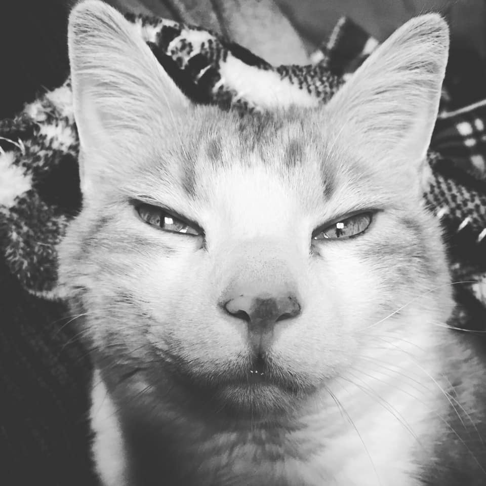 50309671_10161322535245223_422381849986203648_n