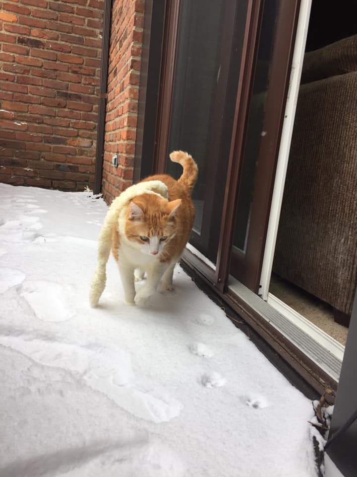 50309953_10161321293095223_3526330057398157312_n