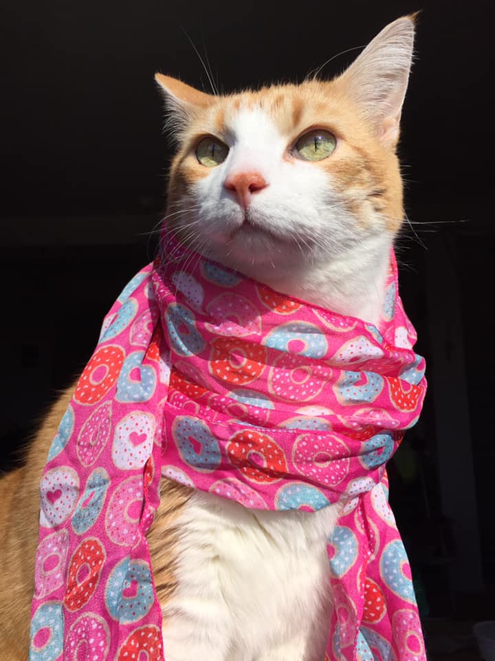 50703060_10161338743125223_3739313907899039744_n