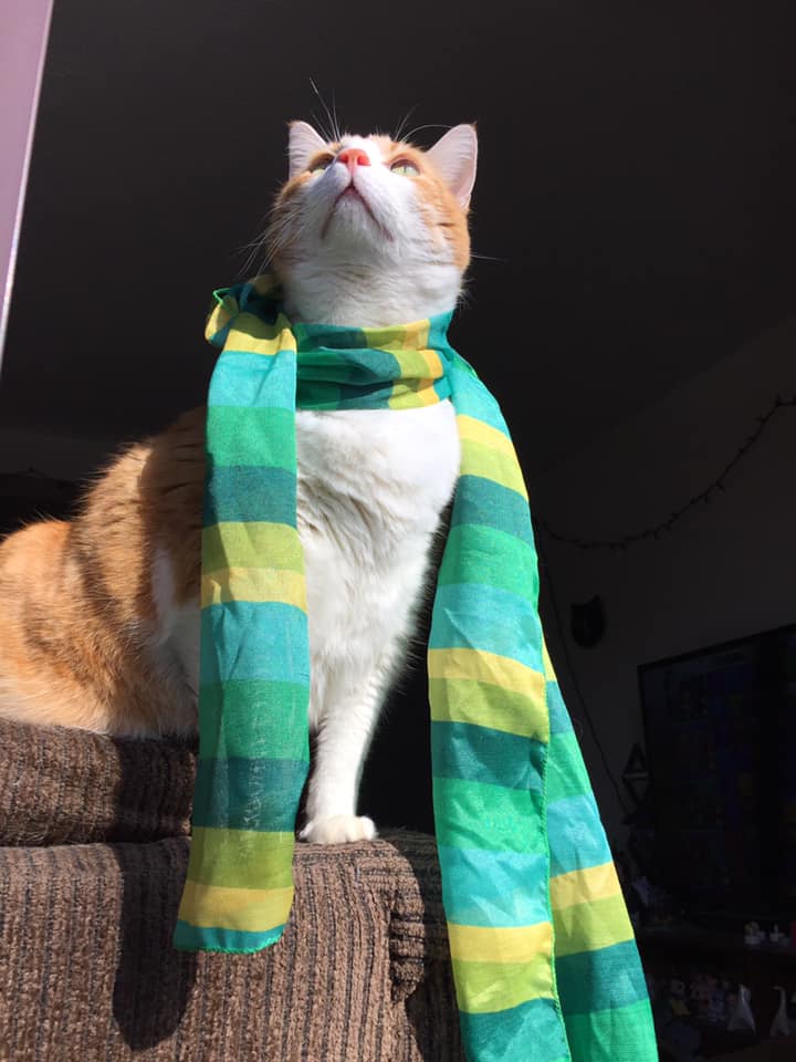 50713236_10161338742625223_5646535663726624768_n