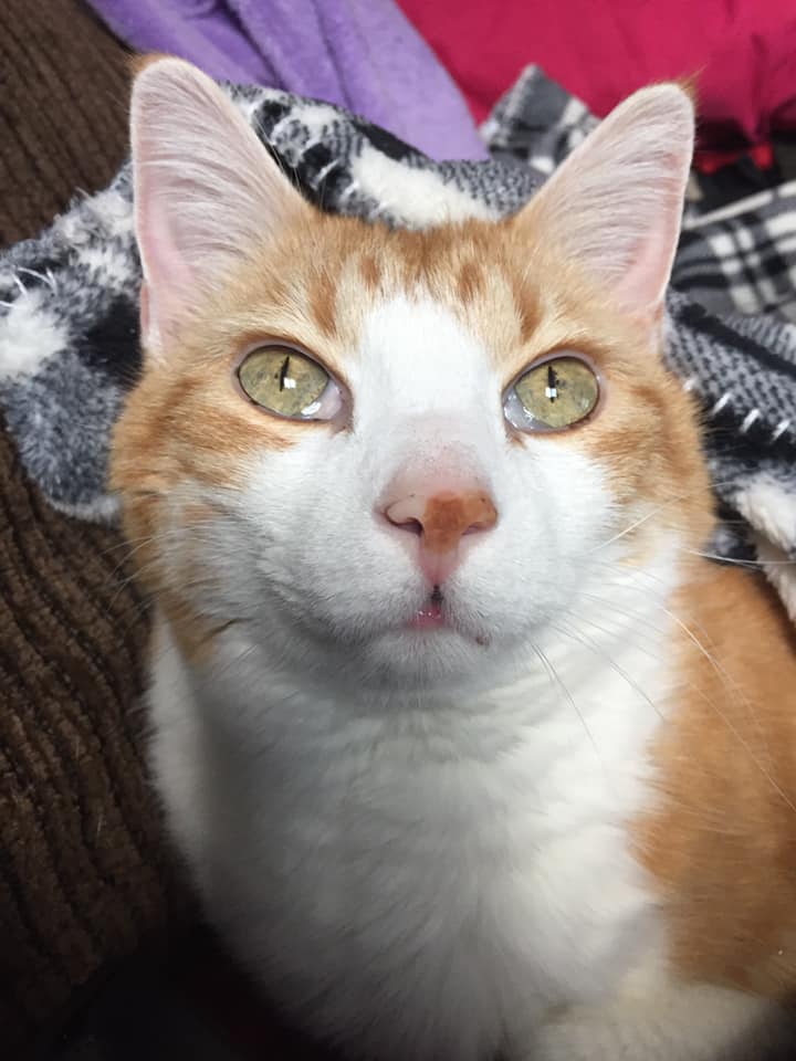 50787675_10161322535315223_7102688563875020800_n