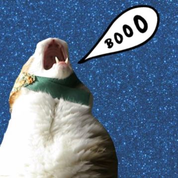 booo