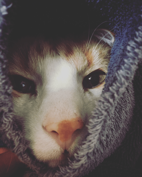 n2hvq6akwyjdsvyguecad9sfa5zlncd7pmo_p0ixuhooy-1tgymxw4hayikujpyo