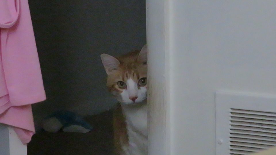 50979275_10161358256355223_4746385345405255680_n