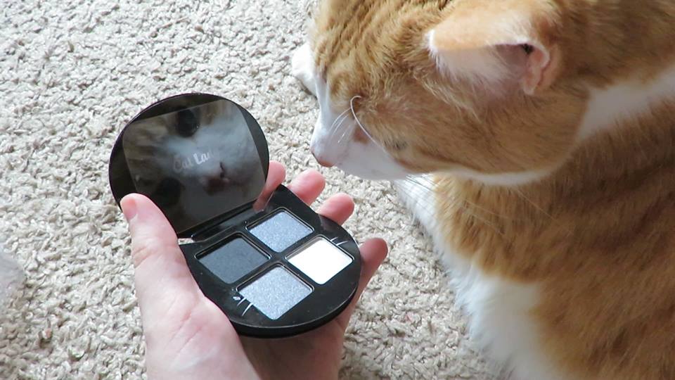 51499536_10161380319800223_5471114257166761984_n