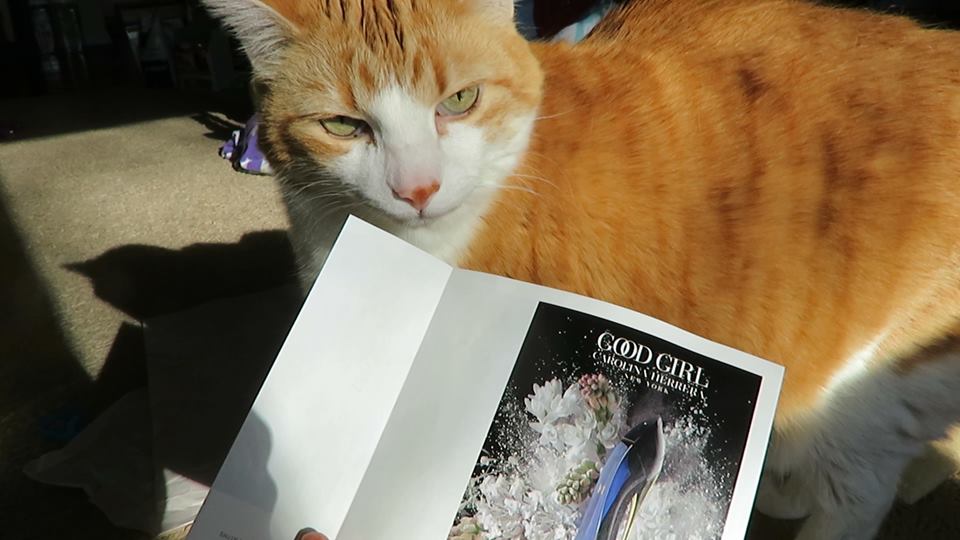 51520274_10161382754275223_6700540940475432960_n