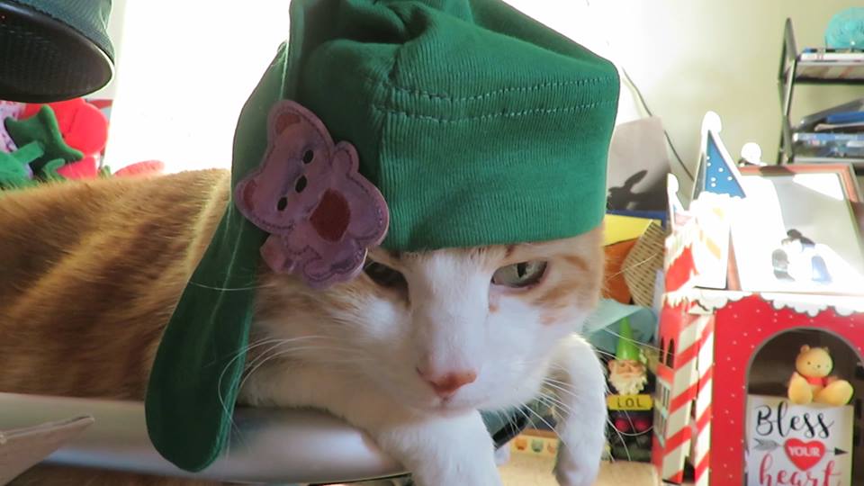 51785985_10161395198005223_2789020013900595200_n