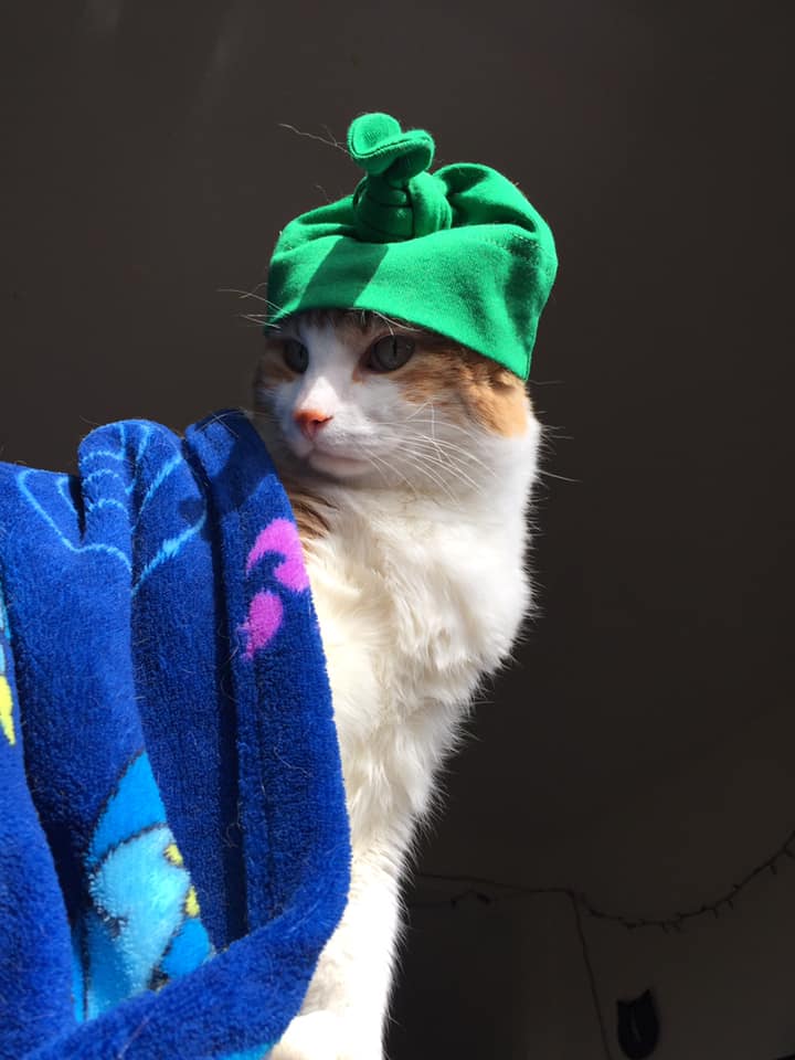 52684531_10161416519340223_2530016662564896768_n