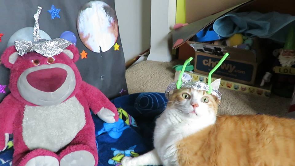 52688563_10161418511240223_1173346741274017792_n