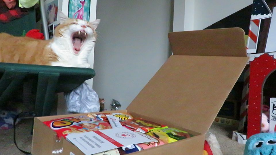 52977061_10161461318000223_6570052841816195072_n