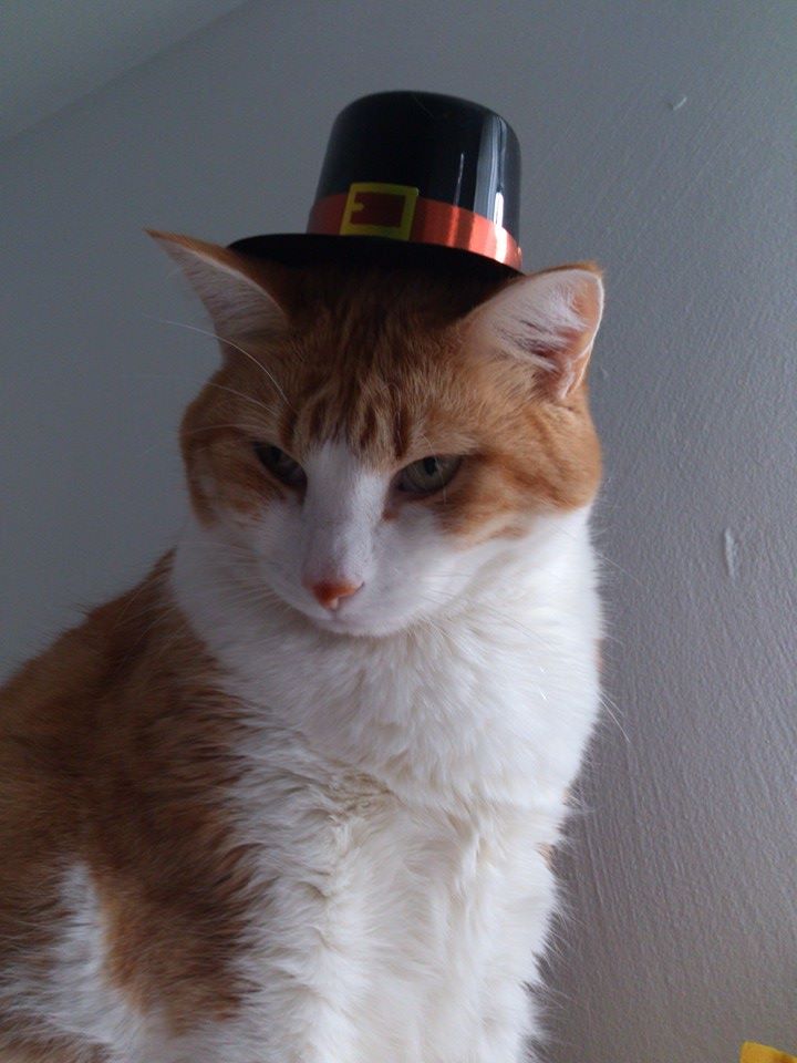 10304968_10154855825475223_309409926283472365_n