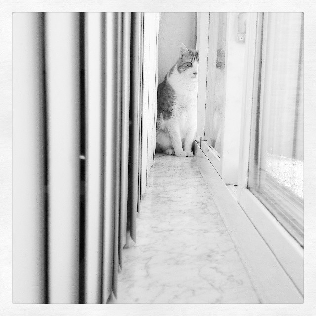 10646926_10154608987510223_2981097675224966434_n