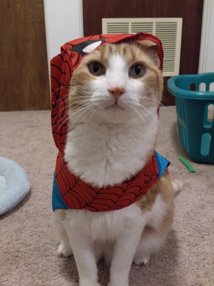 1390756_10154740497575223_7409020011057323973_n