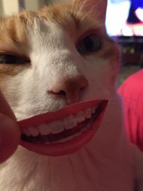 16807116_10158242464600223_8565936970262773306_n