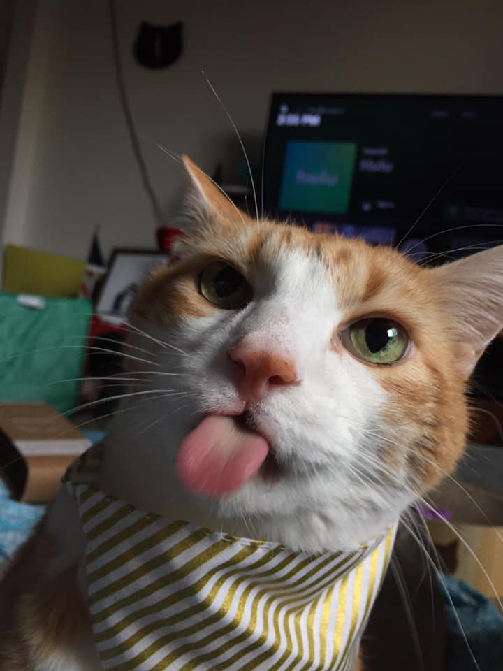 47576856_10161181781235223_2461427108589600768_n