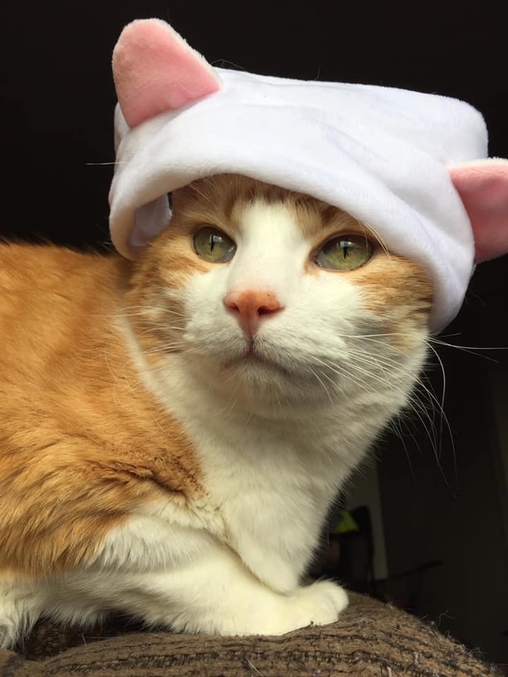 49829569_10161265047610223_300270410727948288_n