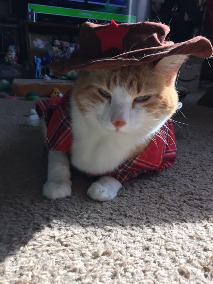 51652249_10161368212575223_7850155346034163712_n