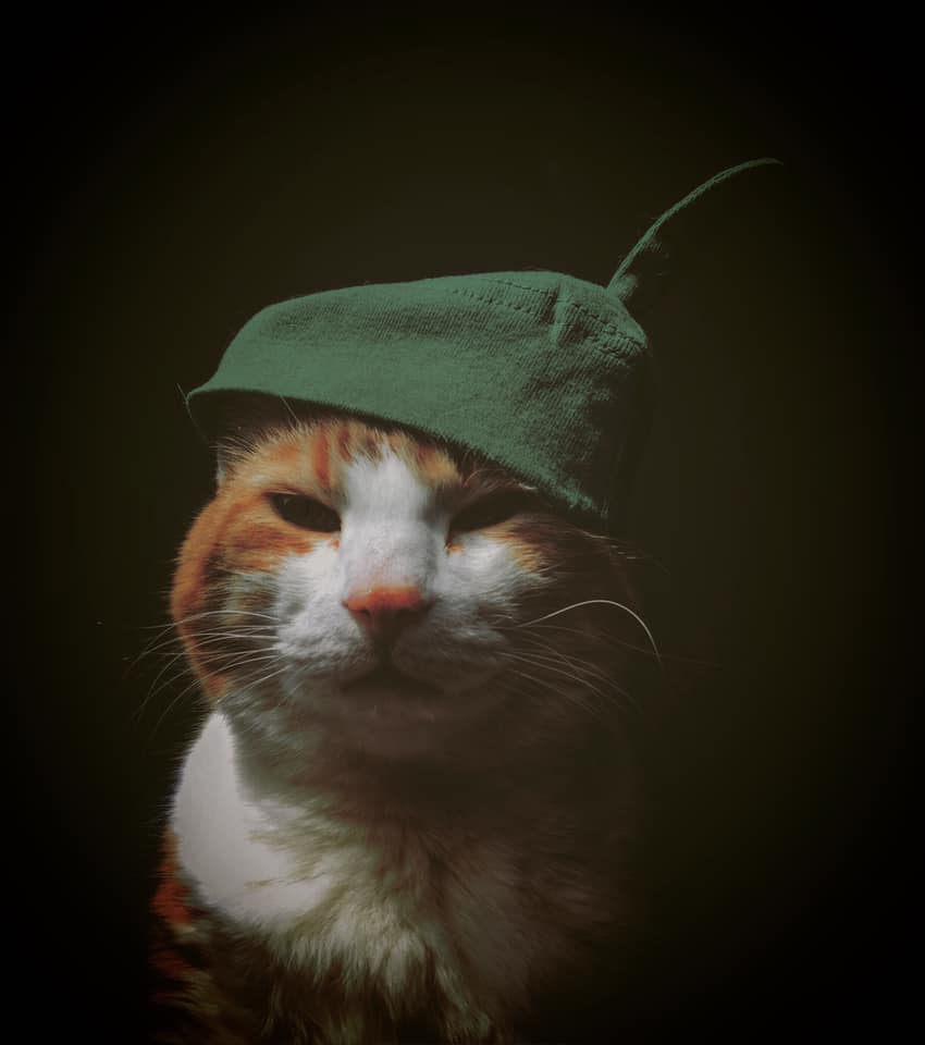 51960819_10161420122475223_8673319058474532864_n