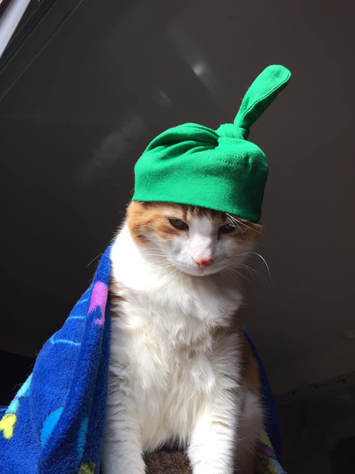 52365625_10161416520515223_1216366383546236928_n