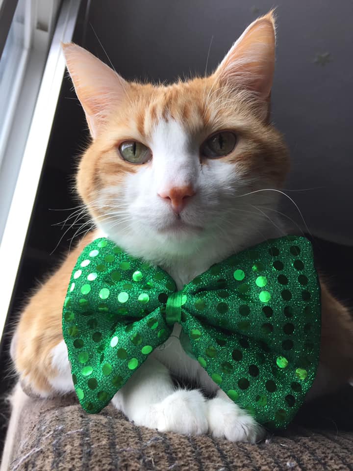 53233411_10161486934510223_5196908418115305472_n