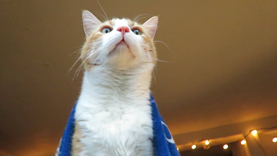 53295612_10161495088135223_6788197409055834112_n