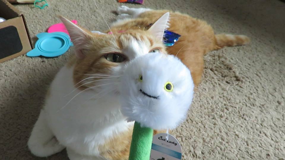 53359562_10161471707115223_5629465711345664000_n