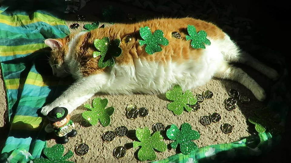 53435206_10161518635010223_1497172754107990016_n