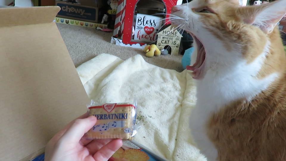 53439654_10161504910115223_4305450177298169856_n