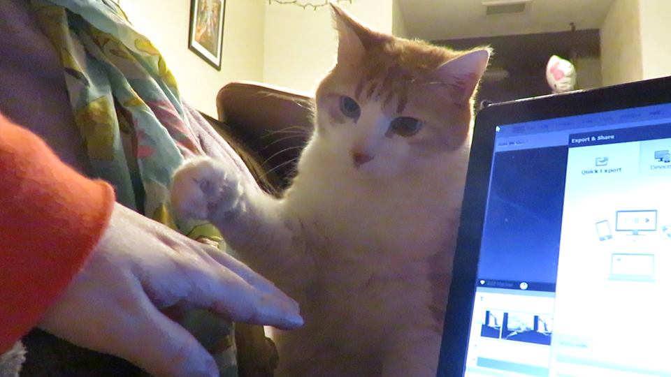 53563793_10161504908050223_725683992229052416_n