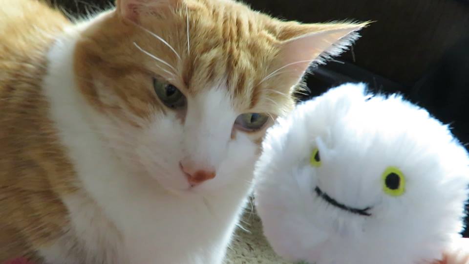 53613600_10161471706960223_3831565849752240128_n