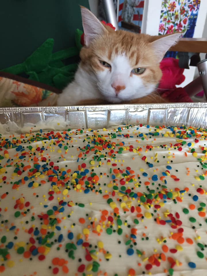 54432769_10161517403070223_5382481568289783808_n