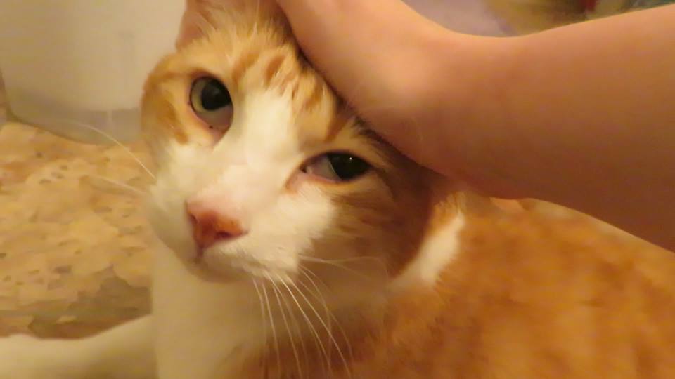 54521783_10161532857425223_5978557457708875776_n