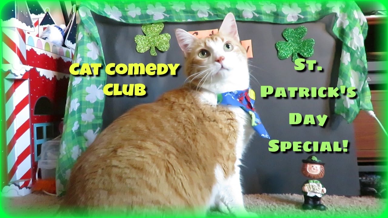 maxresdefault (1).jpg