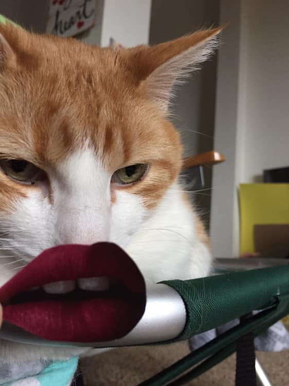 55887896_10161553817430223_2420871643673919488_n