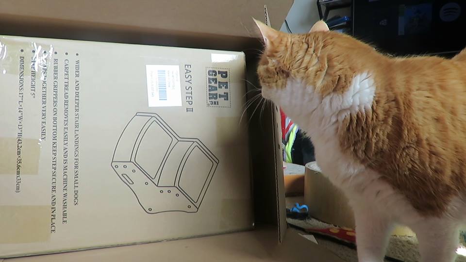 56563262_10161597197300223_4130048269889830912_n