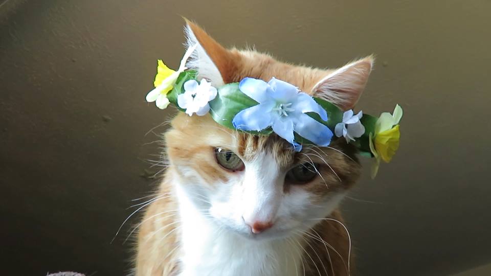 57186105_10161612875745223_8060172705573371904_n