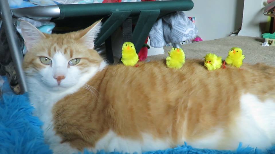 57395819_10161652334100223_57837103349760000_n