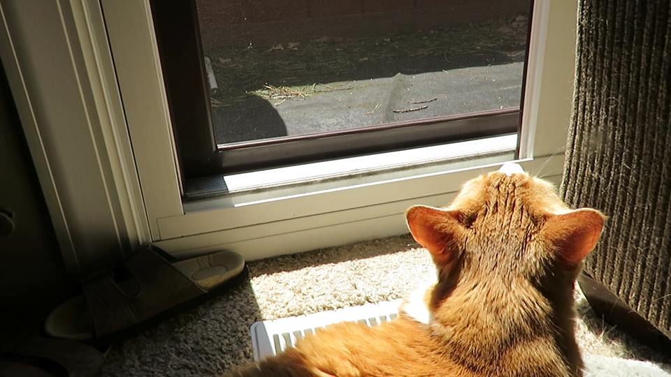 58113380_10161667909085223_2058102488057249792_n