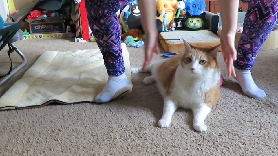 58376009_10161679895000223_5559311350460579840_n