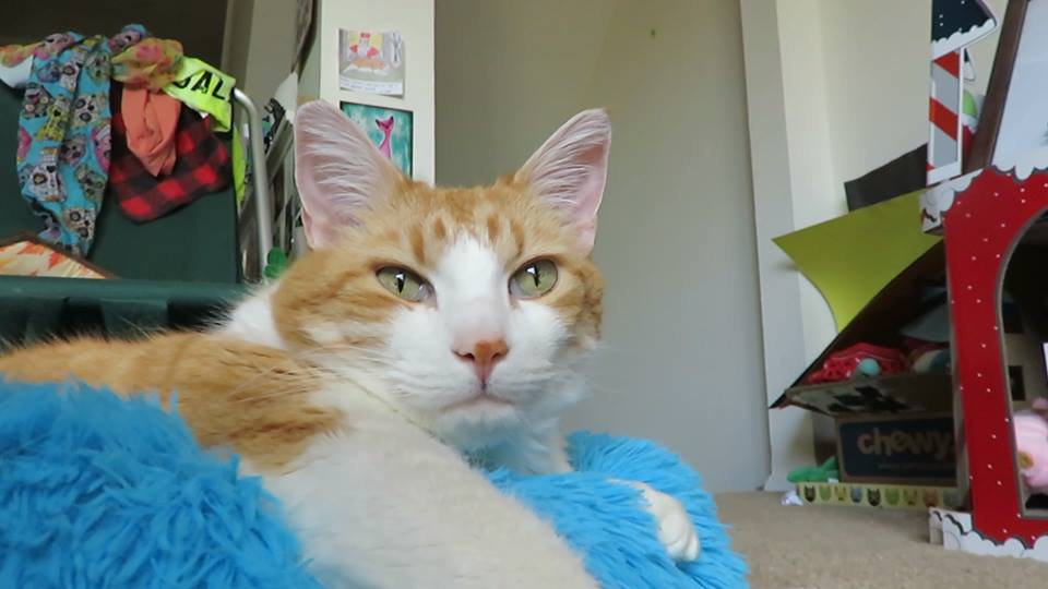 58441502_10161667907925223_221447495874510848_n