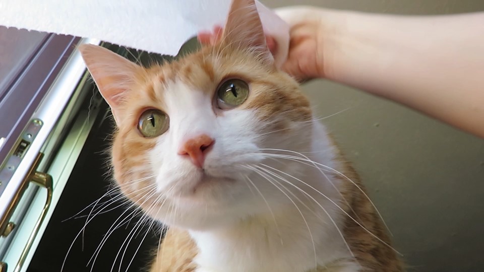 59418907_10161702342500223_5397102478778957824_n