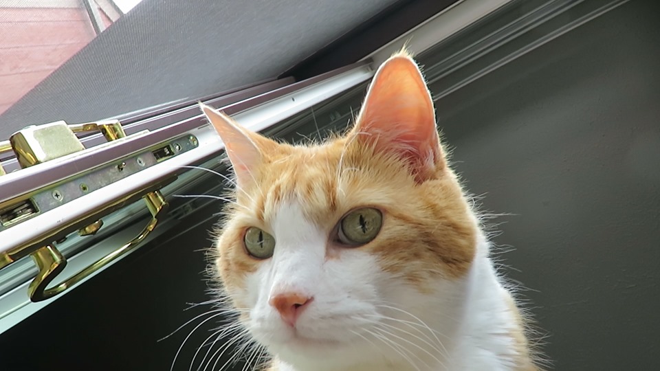 59930756_10161732479250223_5726927448528912384_n