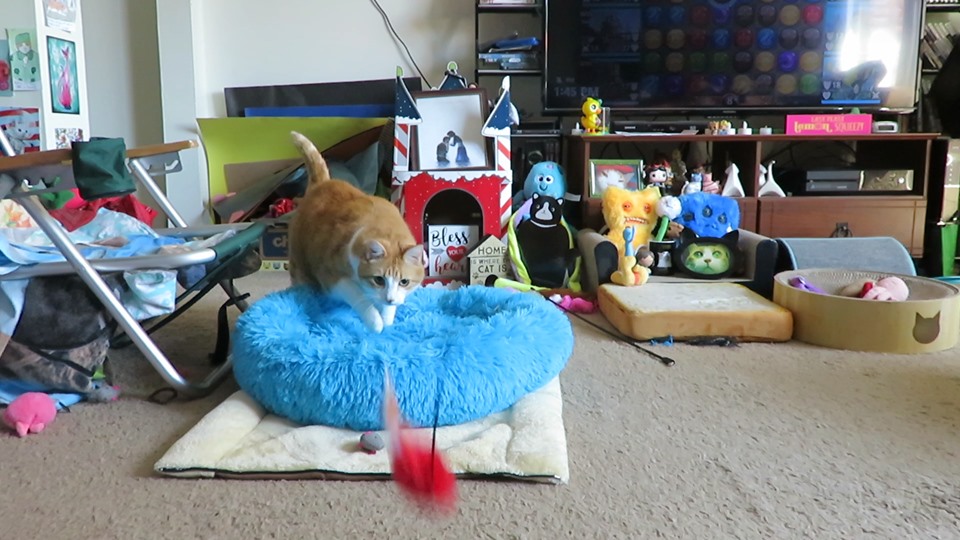 60271193_10161750004545223_7568456343829348352_n