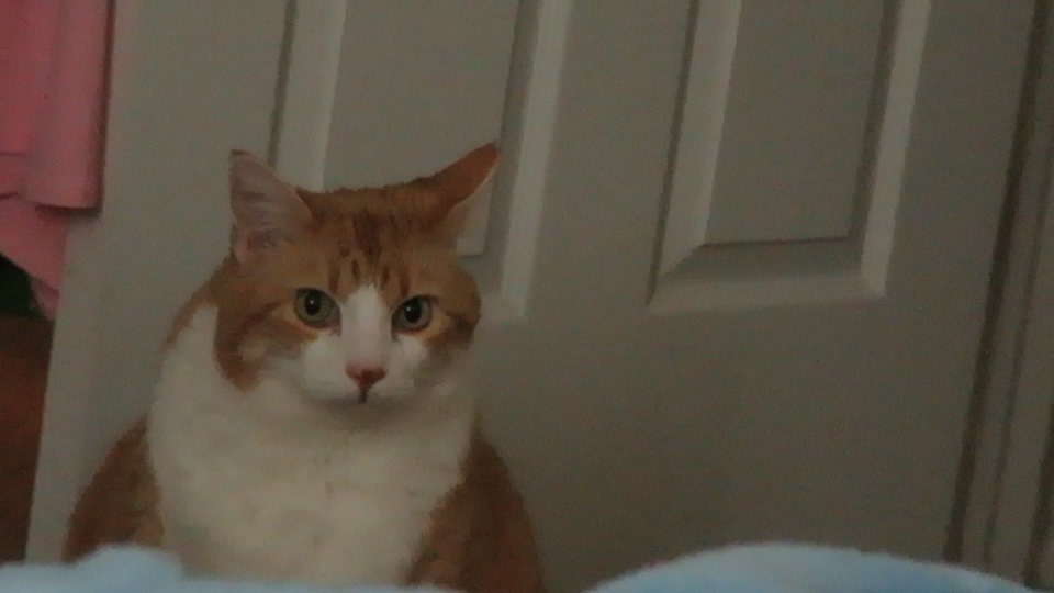 60271642_10161753966840223_8732801022629511168_n