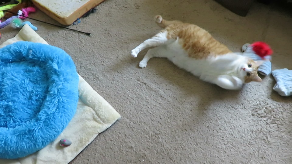 60347453_10161750004505223_6031673421337722880_n