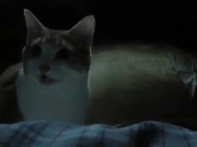 60360142_10161753128480223_5900960034463940608_n