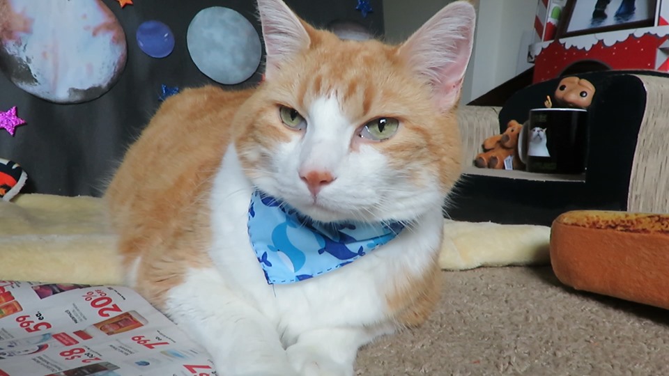 60891656_10161769709095223_6042272670479810560_n