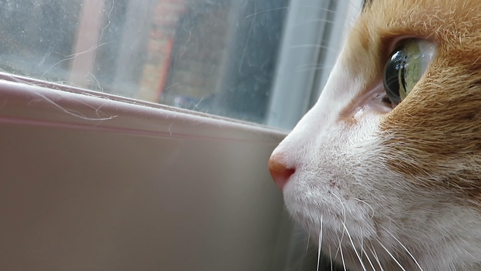 61149543_10161794094215223_8372916113645764608_n